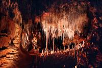 Stalactites, stalagmites et fistuleuses - Grotte de Clamouse (Hérault 1975)